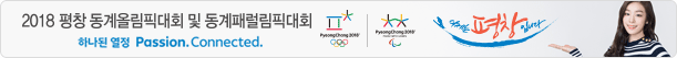 2018 평창 동계올림픽대회 및 동계패럴림픽대회